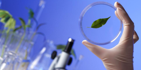 聚焦生命科學前沿 知名生物學期刊與自然科學研究的發展